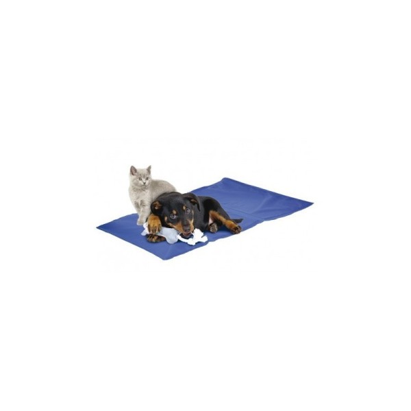 FREEDOG LIT FRAIS BLEU 50X40CM
