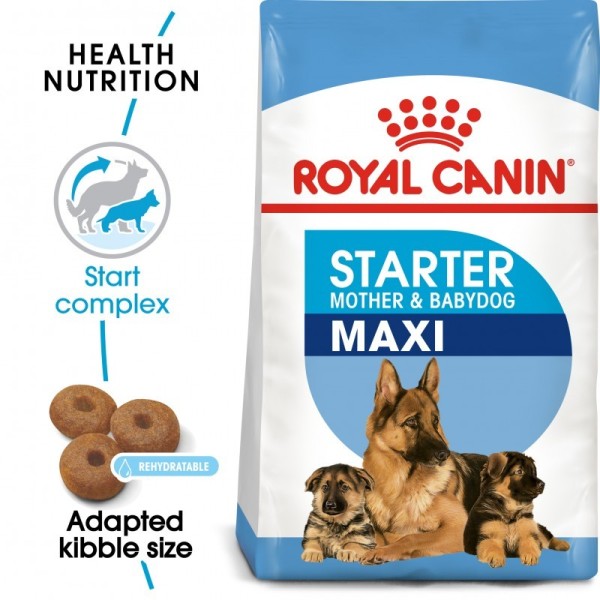 ROYAL CANIN - MAXI STARTER M&B 4KG